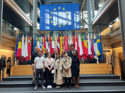 Participants in the European Parliament